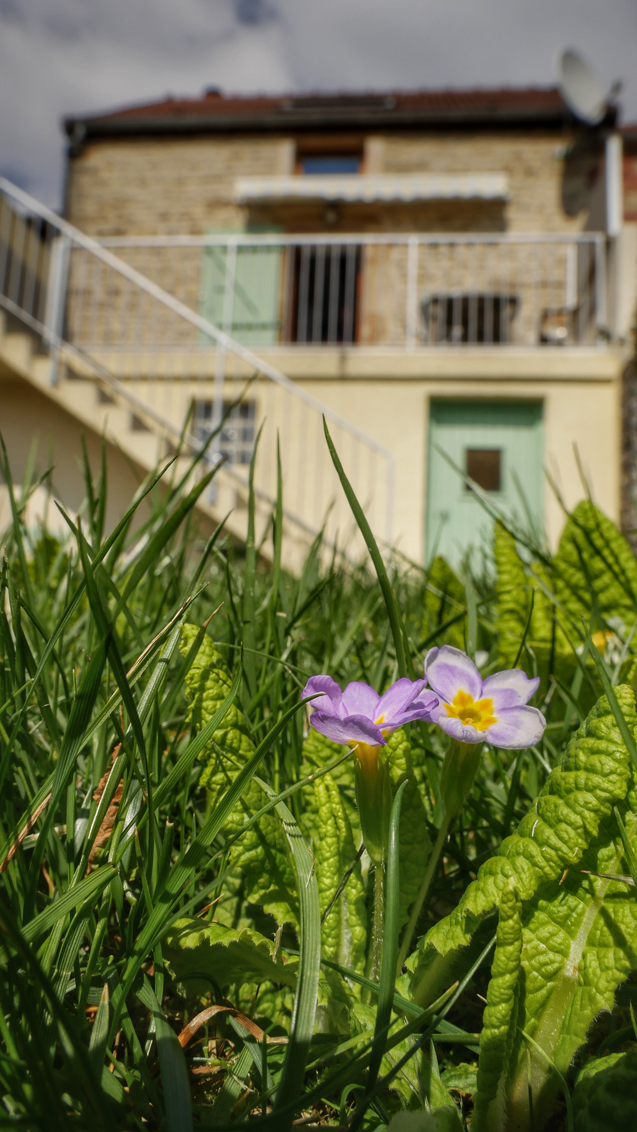 jardin gîte La Coquelourde, Trouhaut, Bourgogne